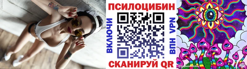 Купить закладки  Мещовск  Галлюциногенные грибы мицелий 